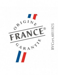 TABLE INDUCTION BRANDT BPI6364B 2