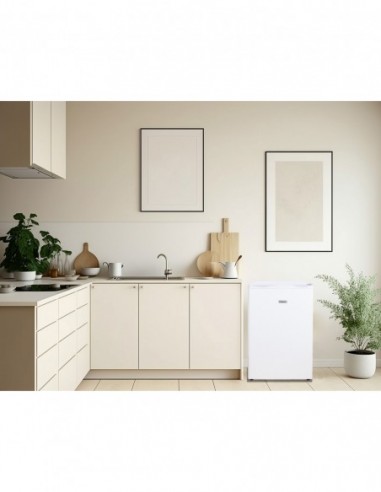 REFRIGERATEUR TOP FRIGELUX RTT127BE Blanc