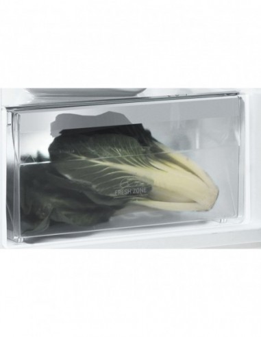 REFRIGERATEUR 1 PORTE GROUPE INDESIT SI82QWDFR...