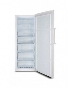 Congélateur armoire FAGOR FCAN380EDW 2