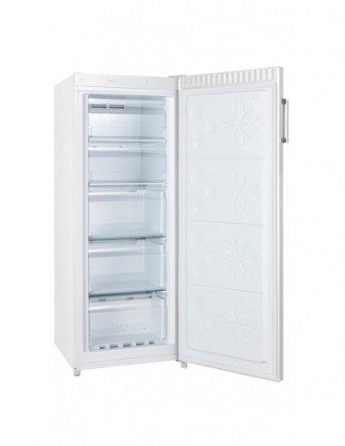 CONGELATEUR ARMOIRE FAGOR FNF6166EW Blanc