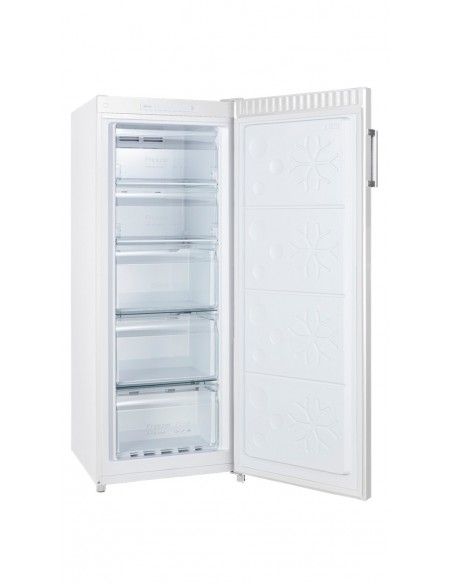 CONGELATEUR ARMOIRE FAGOR FNF6166EW Blanc