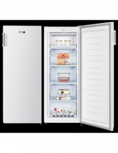 CONGELATEUR ARMOIRE FAGOR FCA165EW Blanc 2