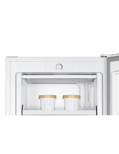 CONGELATEUR ARMOIRE FAGOR FCA165EW Blanc