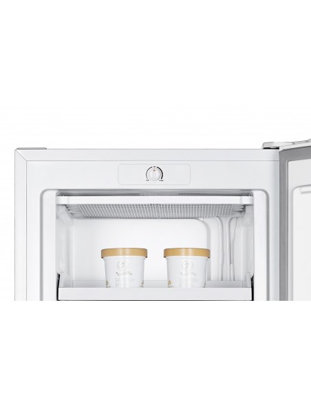 CONGELATEUR ARMOIRE FAGOR FCA165EW Blanc