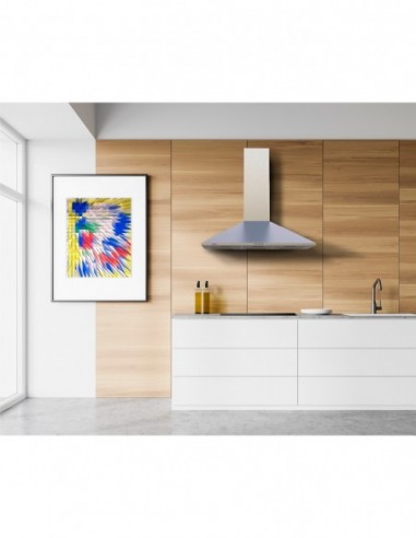 HOTTE MURALE OMEGA 900X/M Inox