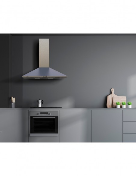 HOTTE MURALE OMEGA 900X/M Inox